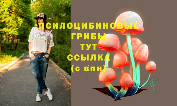кокаин премиум Алексеевка