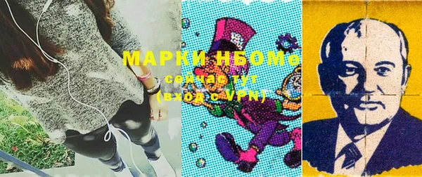 дурь Алексин